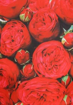 Elope Adult Bouquet Of Roses Sandwich Board Costume -Cheap Holiday Costumes Store bouquet of roses sandwich board costume alt 3