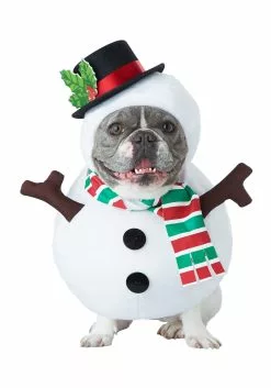 California Costume Collection Snowman Dog Costume