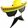 Hip Hop Wholesale Fiesta Sunglasses