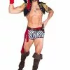 Roma Men's Sexy Captain Hunk Halloween Costume